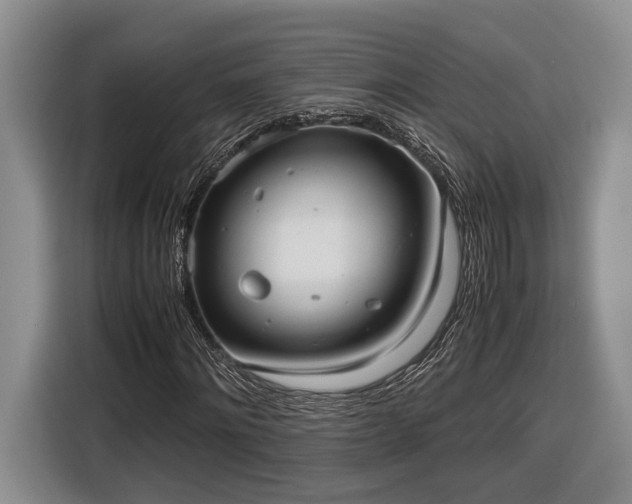 X0000116560868200912171407