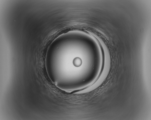 X0000116560869200912171407