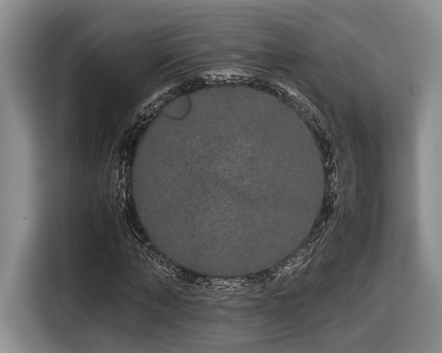 X0000116560870200912171407