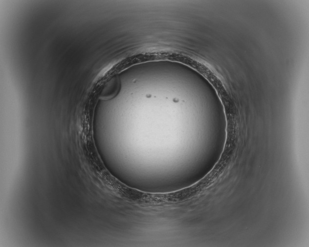 X0000116560871200912171407