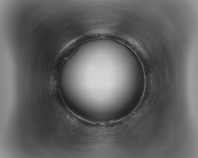 X0000116560872200912171407