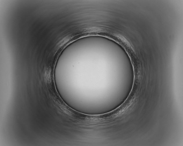 X0000116560873200912171407