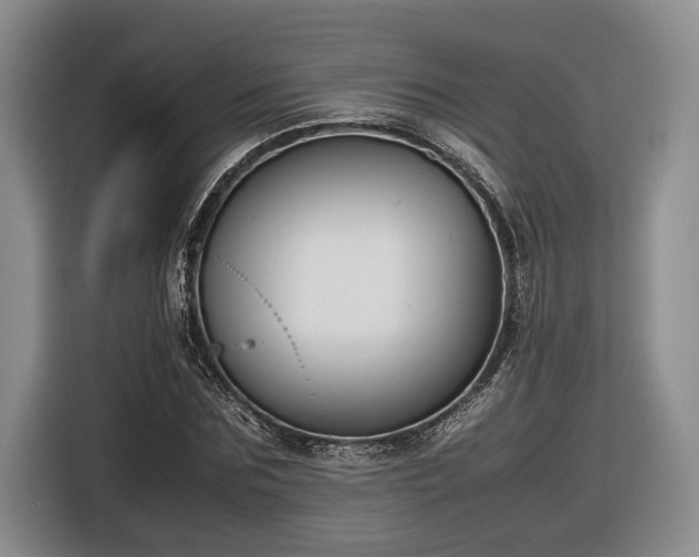 X0000116560875200912171407