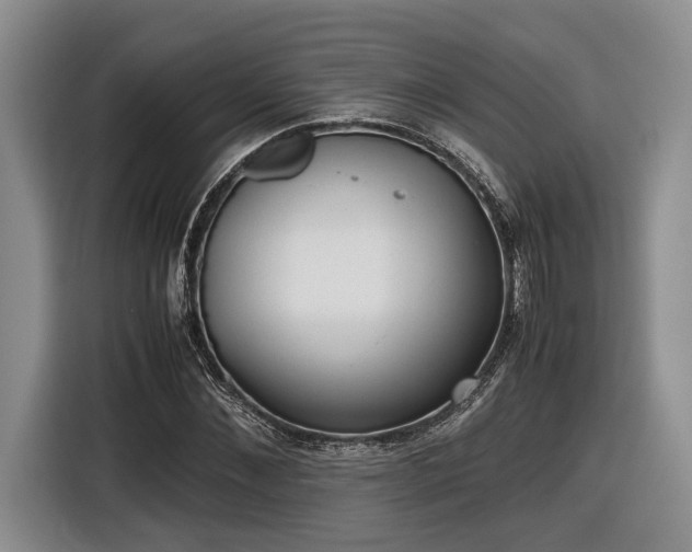 X0000116560876200912171407