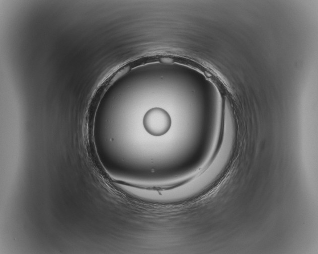 X0000116560877200912171407