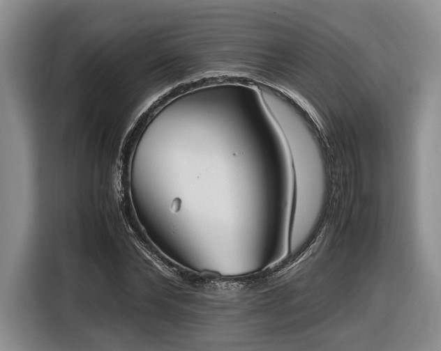 X0000116560878200912171407