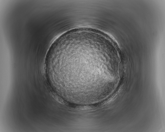 X0000116560879200912171407