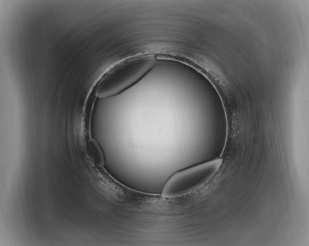 X0000116560880200912171407