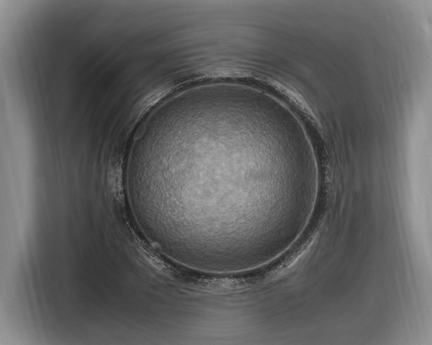 X0000116560881200912171407