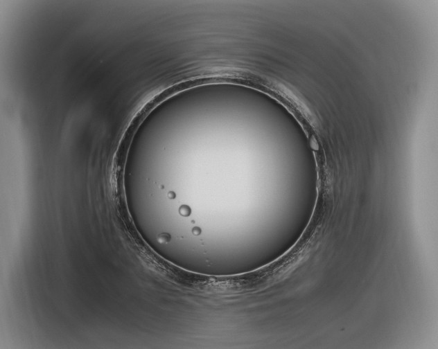 X0000116560883200912171407