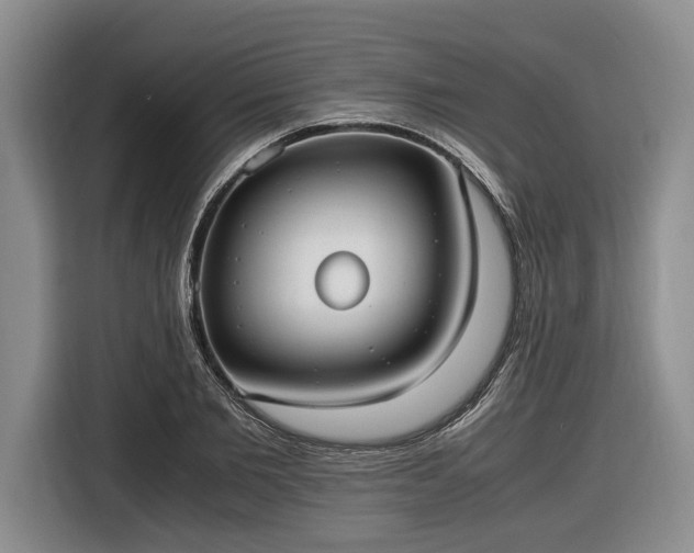 X0000116560885200912171407