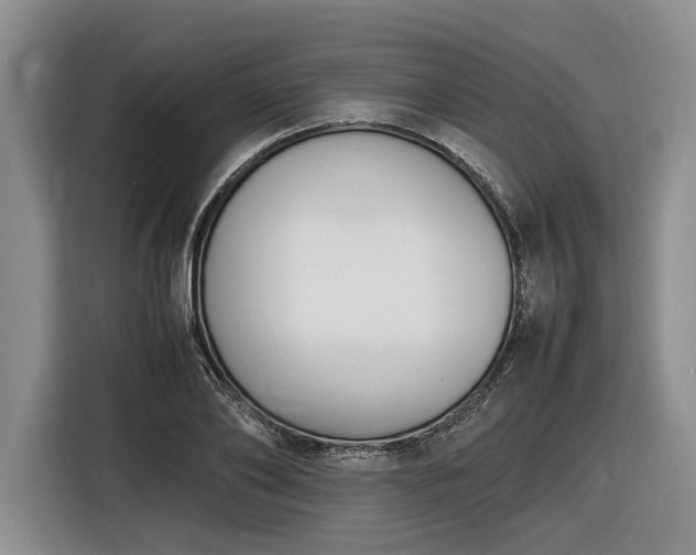 X0000116560886200912171407