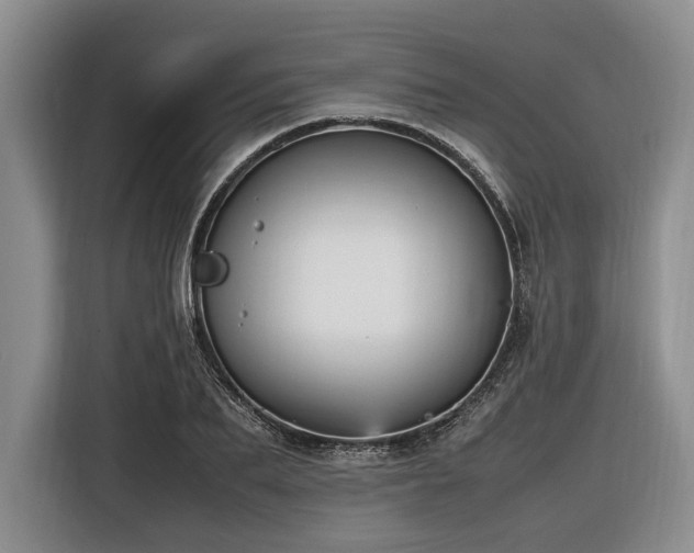 X0000116560887200912171407