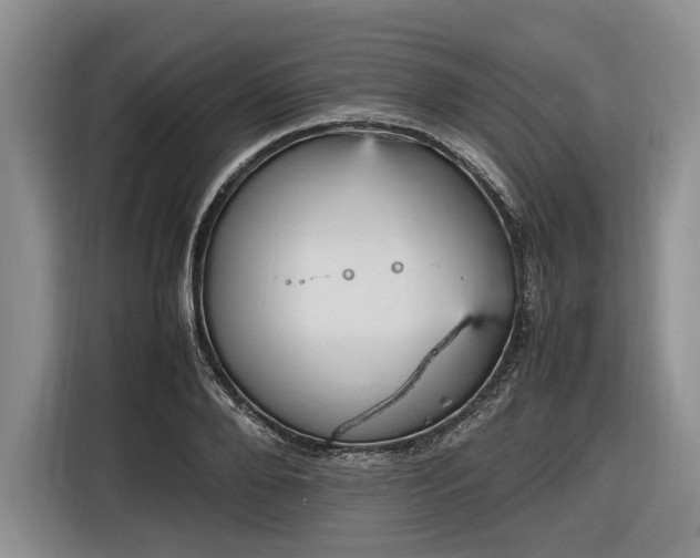 X0000116560888200912171407