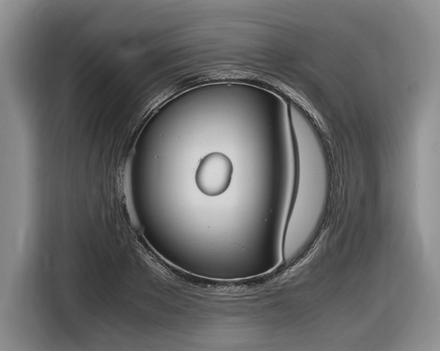 X0000116560889200912171407