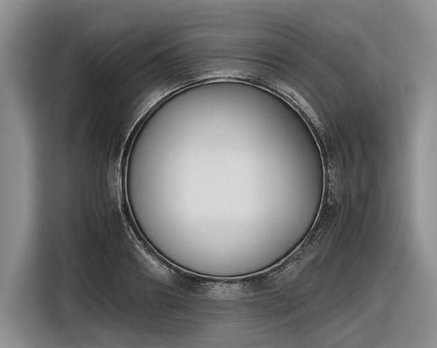 X0000116560890200912171407