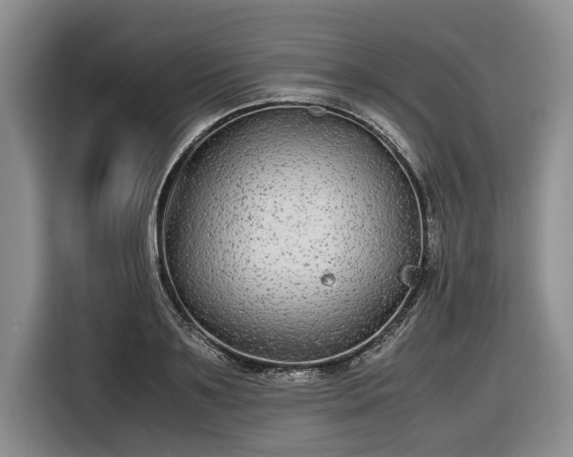 X0000116560891200912171407