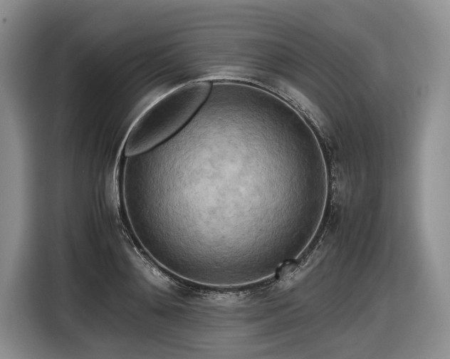 X0000116560892200912171407