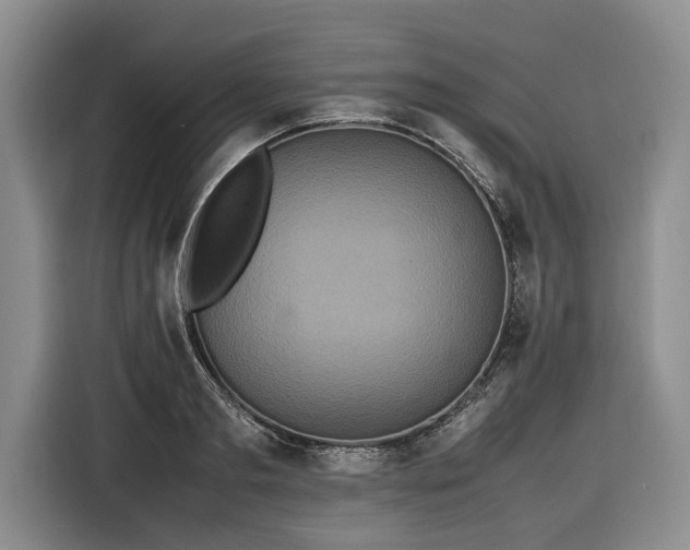 X0000116560893200912171407