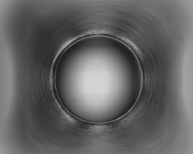 X0000116560894200912171407