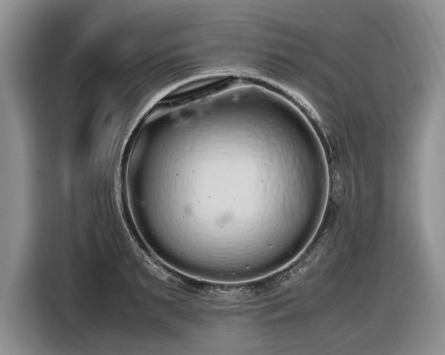 X0000116560895200912171407