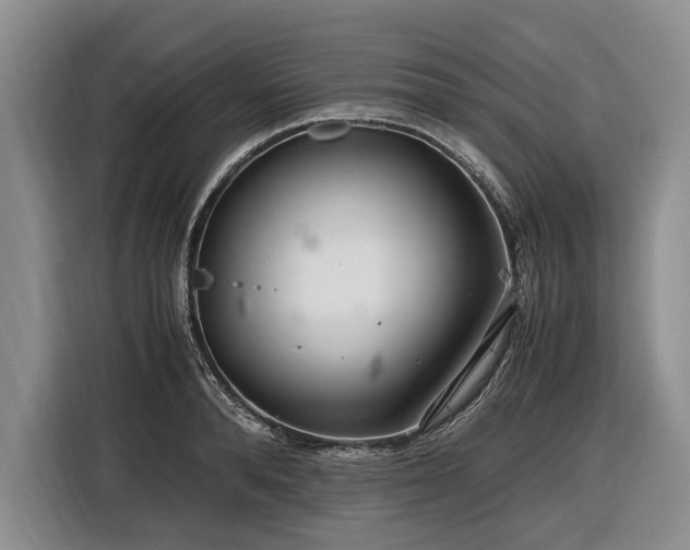 X0000116560896200912171407