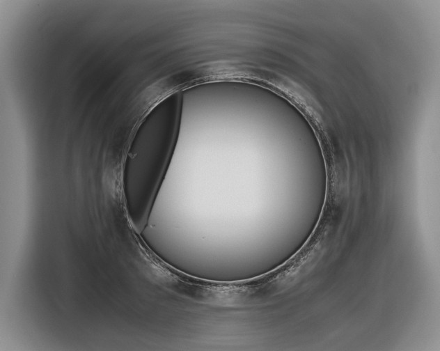 X0000116560897200912171407