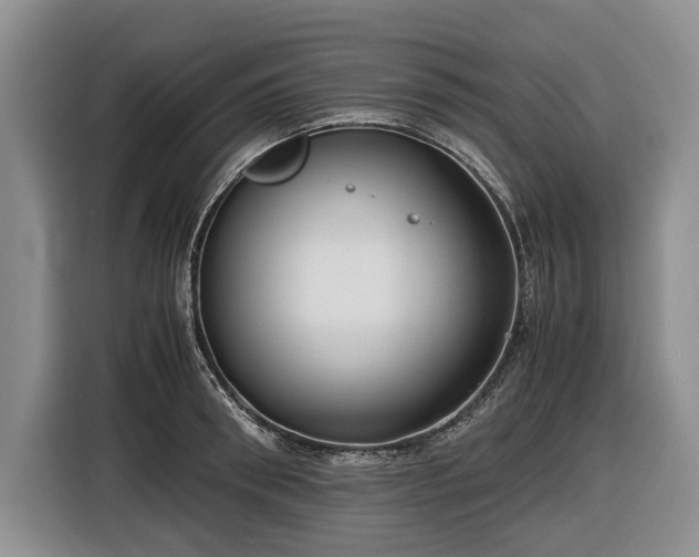 X0000116560898200912171407