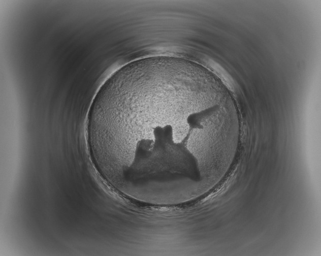 X0000116560899200912171407