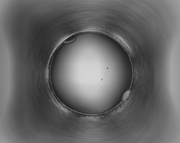 X0000116560900200912171407