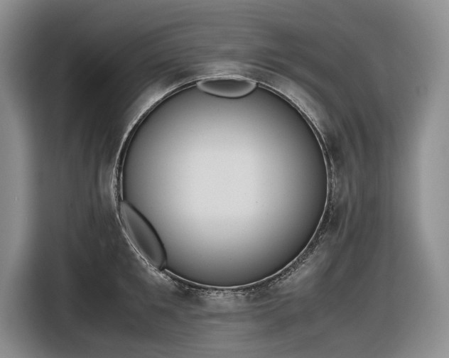 X0000116560901200912171407