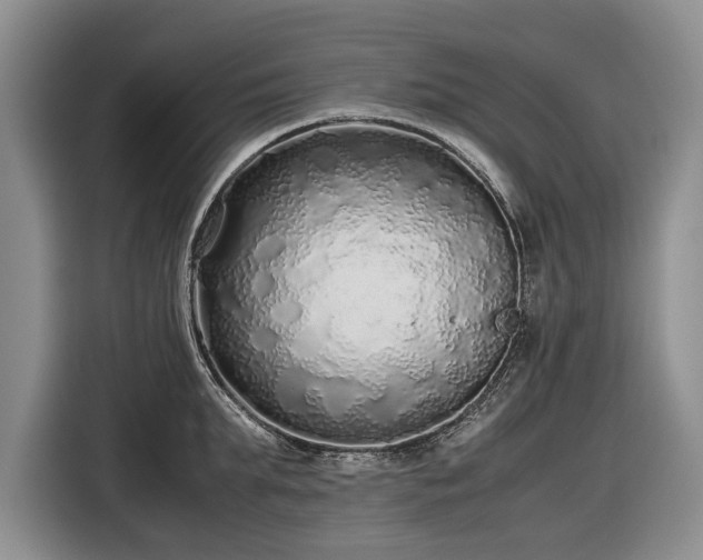 X0000116560903200912171407