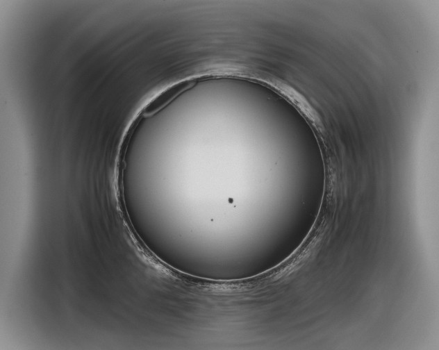 X0000116560904200912171407