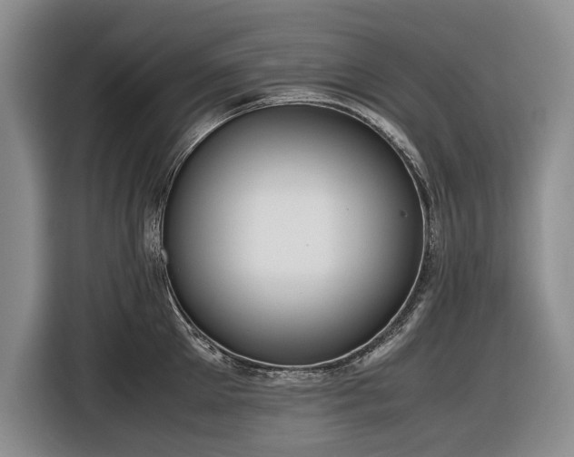 X0000116560905200912171407