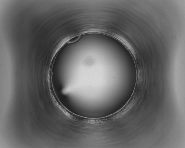 X0000116560906200912171407