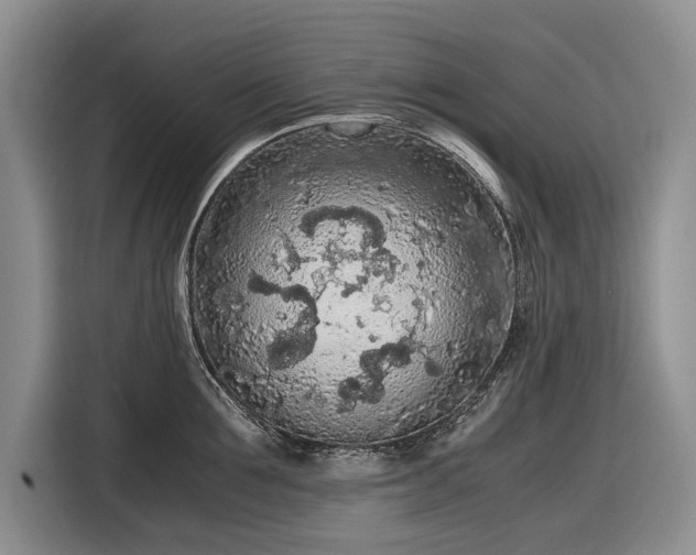 X0000116560907200912171407