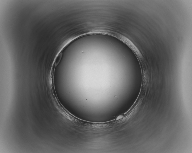 X0000116560908200912171407