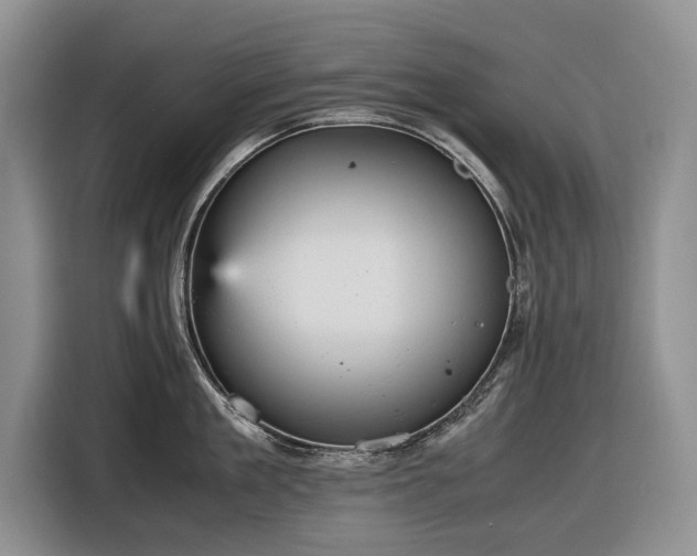 X0000116560909200912171407