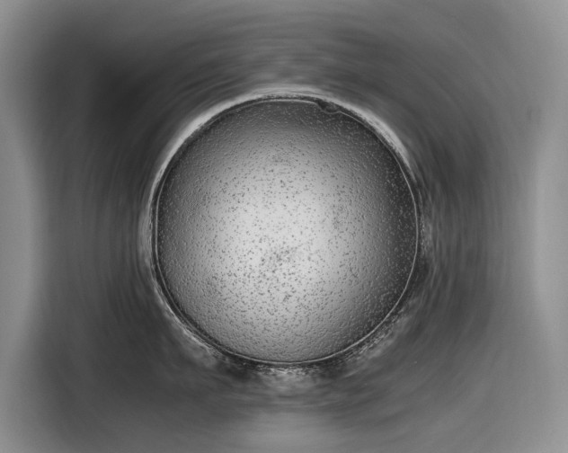 X0000116560911200912171407