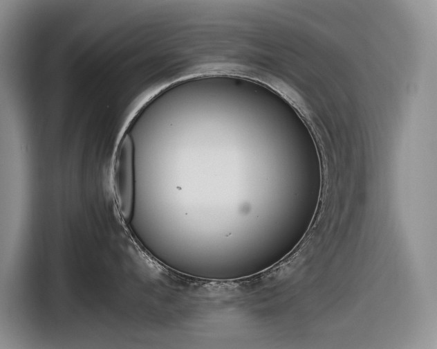 X0000116560912200912171407