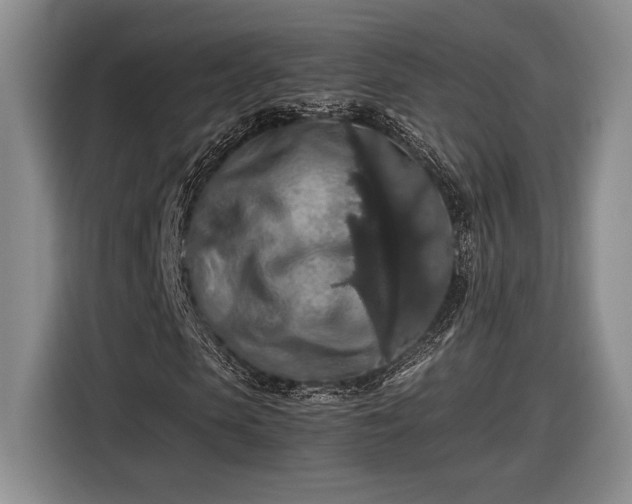 X0000116560913200912171406