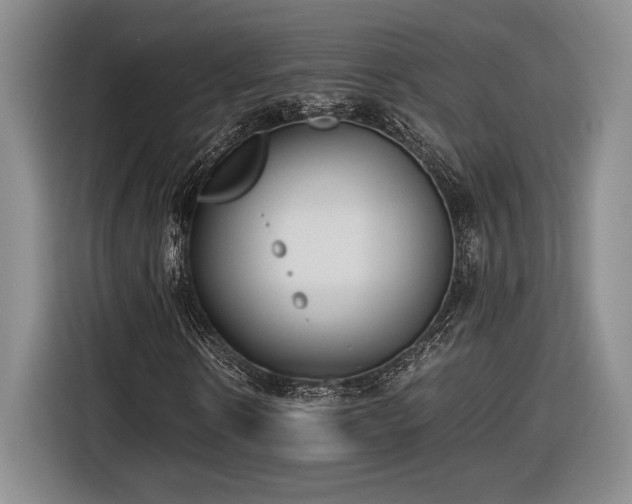 X0000116560914200912171406