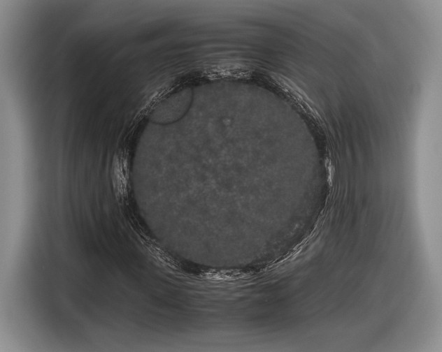 X0000116560915200912171406