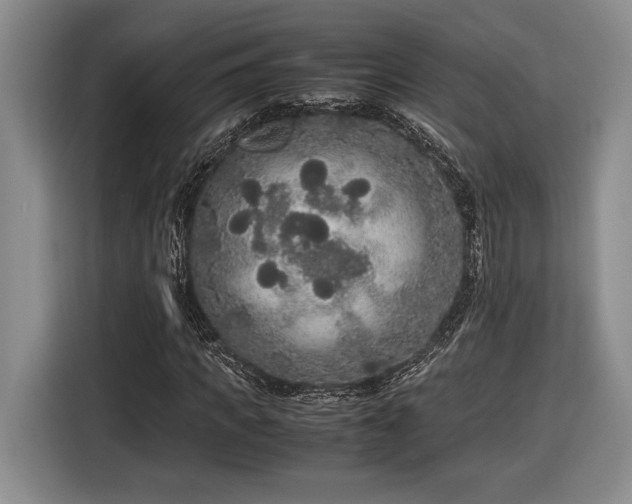 X0000116560917200912171406