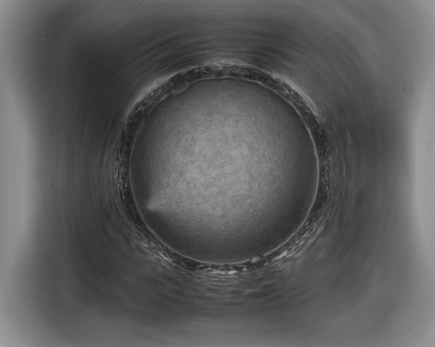 X0000116560919200912171406