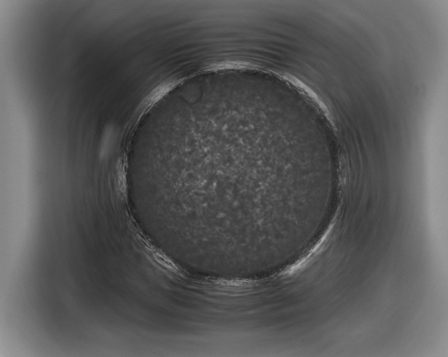 X0000116560921200912171406