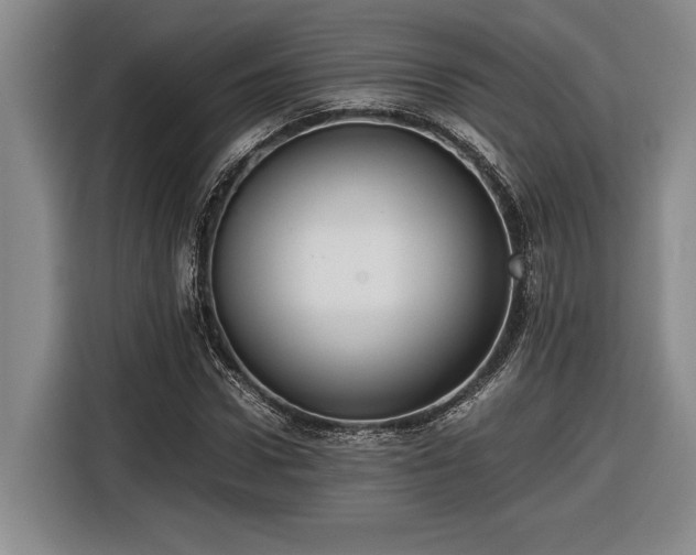 X0000116560922200912171406