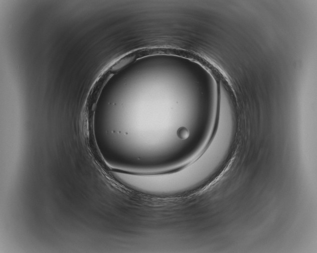 X0000116560925200912171406