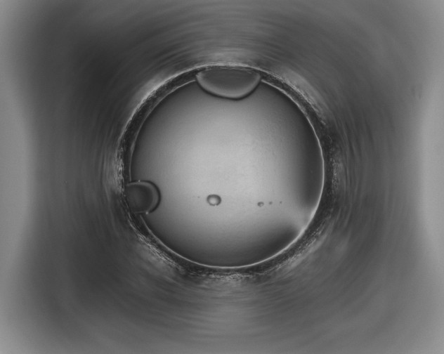 X0000116560926200912171406