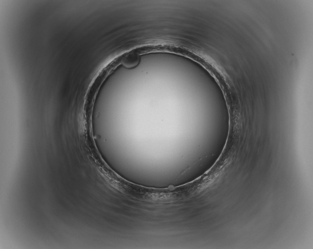 X0000116560927200912171406